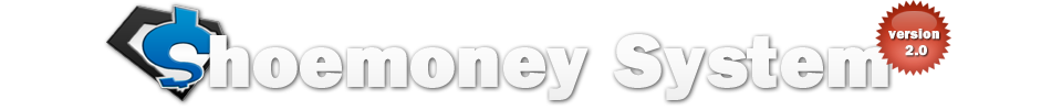 The Shoemoney System